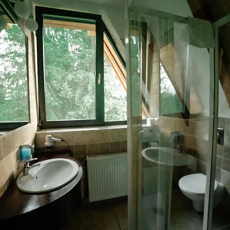 Guest house Pensiunea Park 4*