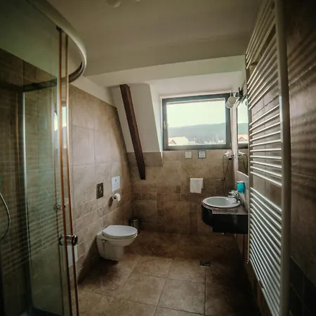 Pensiunea Park Pensiune 4*