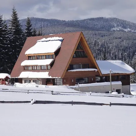 Pensiune Pensiunea Park 4*